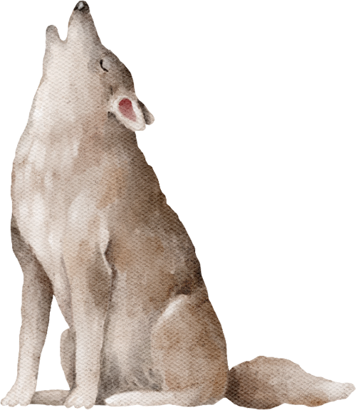 Heulender Wolf