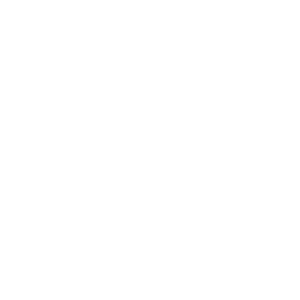 Plot Twist Bookshop Logo