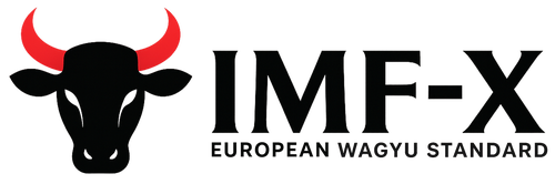 IMF-X Logo