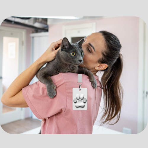 Katzensitter Hero
