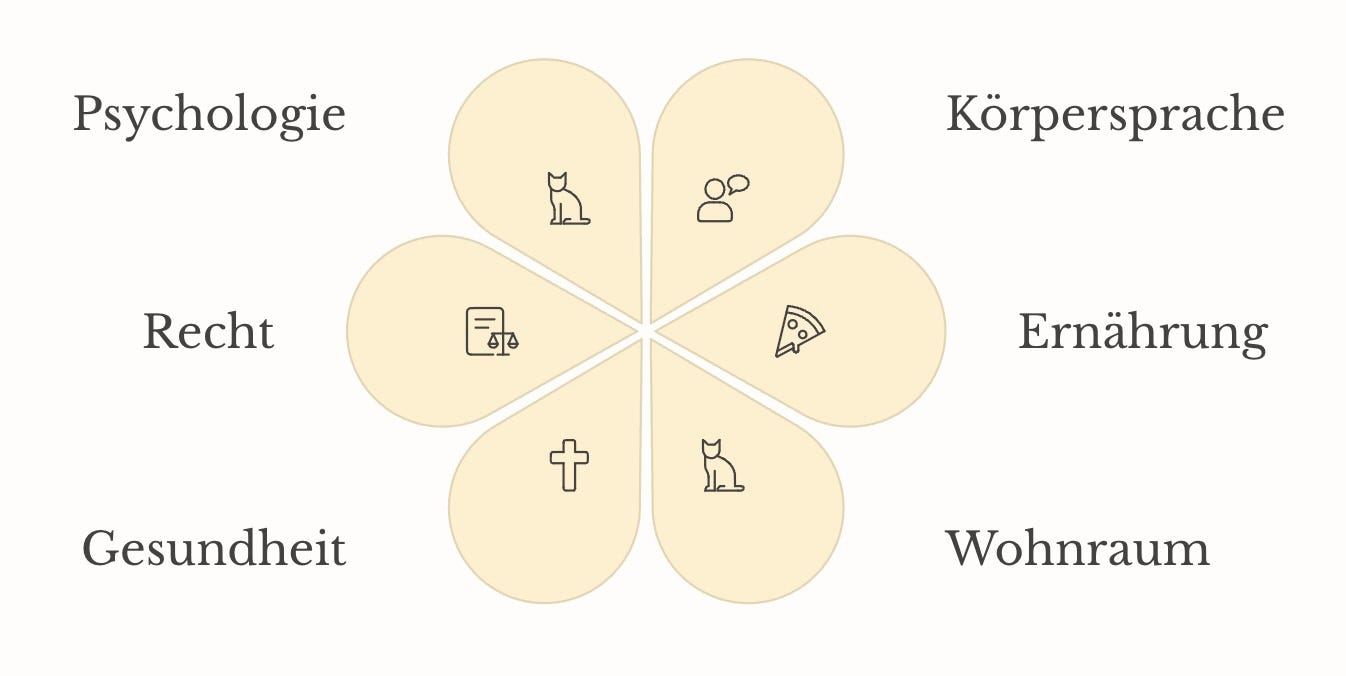 Kreis Grafik