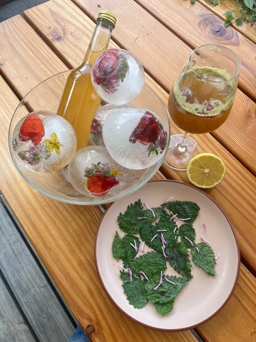 Brennnessel-Apéro