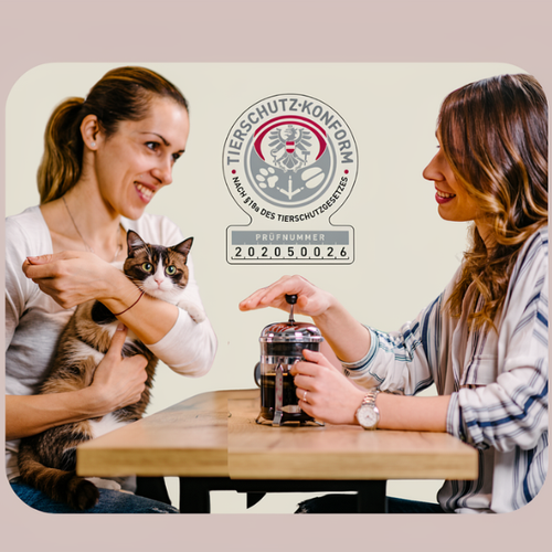 Katzen-Lifecoach Hero