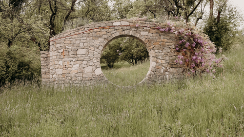 Natur als Coach