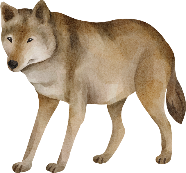 Wolfspfade Stehend