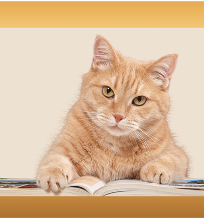 Cat with book