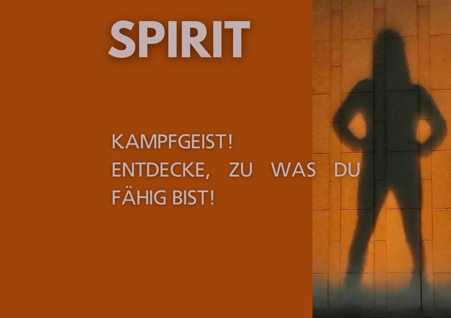 Programm Bild 3
