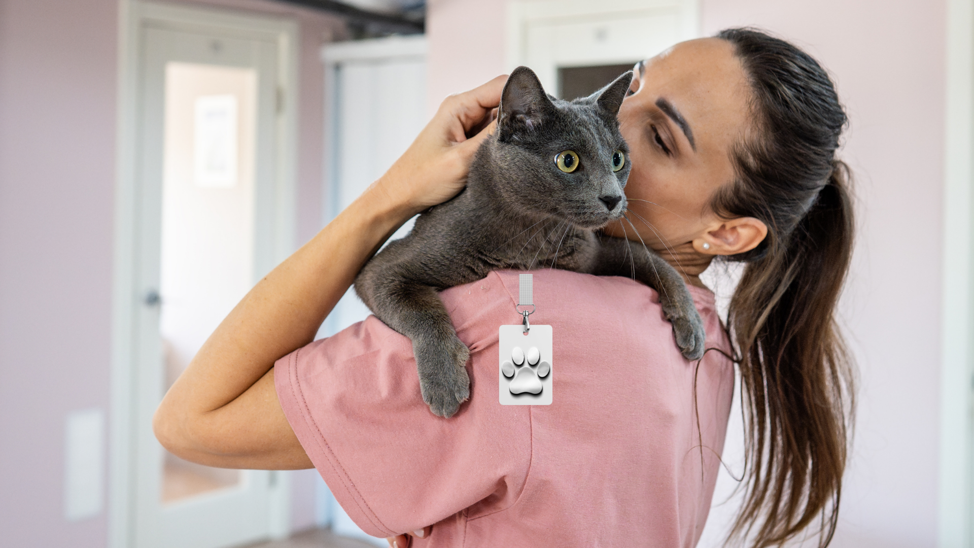 Katzensitter Zertifikat