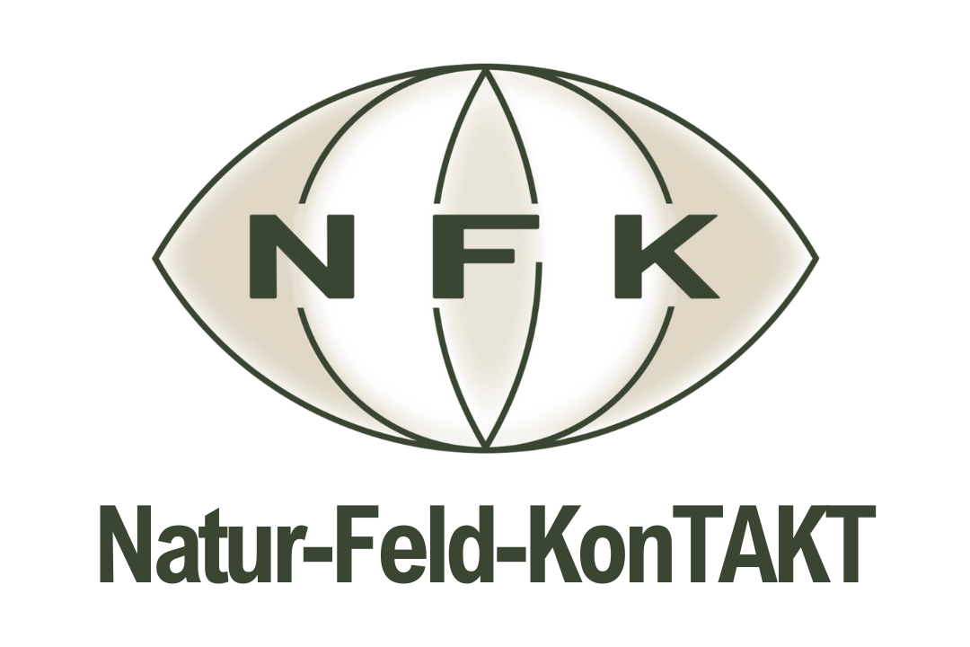 NFK