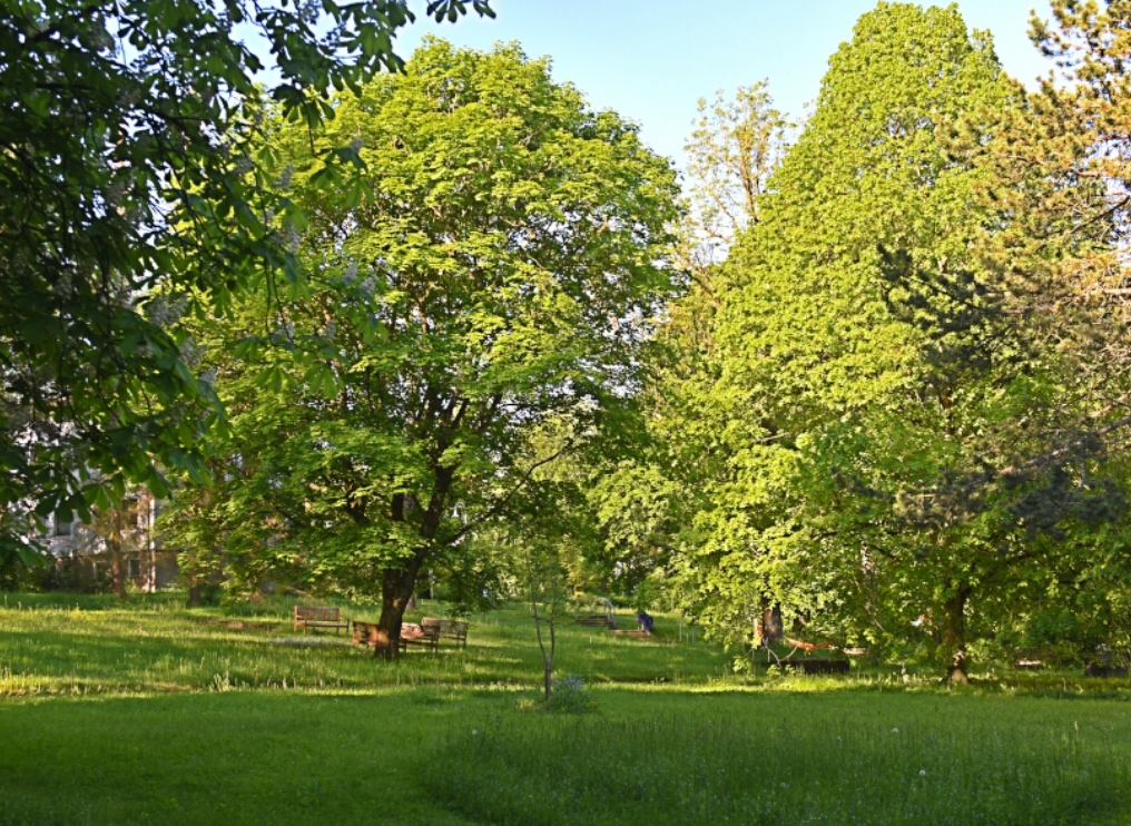Retreat Image 8