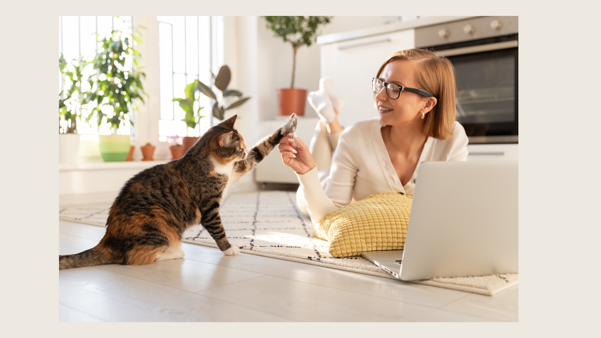 Woman with laptop and cat